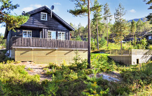 Holiday Home - Vrådal , Norway - N35399 1