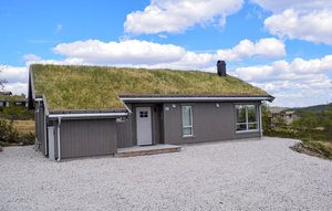 Holiday Home - Vierli , Norway - N35428 1