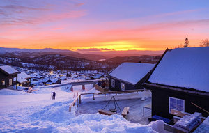 Holiday Home - Holtardalen/Rauland , Norway - N35457 1