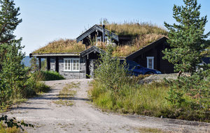Holiday Home - Gautefall/Øverlandsheia , Norway - N35458 1