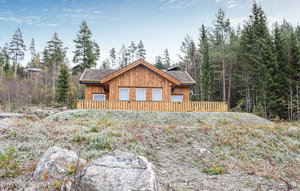 Holiday Home - Vrådal , Norway - N35488 1