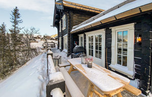 Holiday Home - Holtardalen/Rauland , Norway - N35506 1