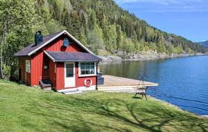 Holiday Home - Vrådal/Vråliosen , Norway - N35543 1