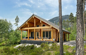 Holiday Home - Vrådal , Norway - N35548 1