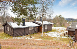 Holiday Home - Rauland , Norway - N35567 1