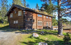 Holiday Home - Rauland , Norway - N35568 1