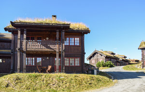 Holiday Home - Rauland , Norway - N35621 1
