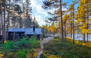 Holiday Home - Telemark/Fyresdal , Norway - N35623 1