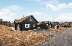 Holiday Home - Rauland , Norway - N35625 1