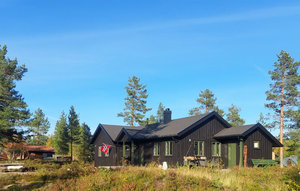 Holiday Home - Fyresdal/Birtevann , Norway - N35644 1