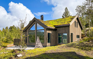 Holiday Home - Haukelifjell , Norway - N35648 1