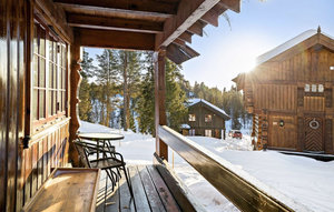 Holiday Home - Rauland , Norway - N35652 1