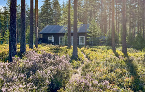 Holiday Home - Treungen , Norway - N35663 1