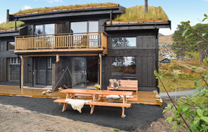 Holiday Home - Holtardalen, Rauland , Norway - N35689 1