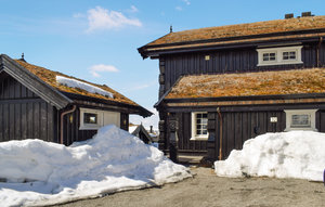 Holiday Home - Holtardalen/Rauland , Norway - N35711 1