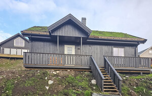 Holiday Home - Rauland/Holtardalen , Norway - N35722 1
