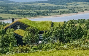 Holiday Home - Rauland , Norway - N35735 1