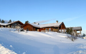 Holiday Home - Vrådal Panorama , Norway - N35746 1