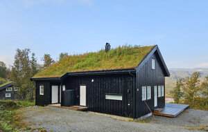 Holiday Home - Haukeli , Norway - N35750 1