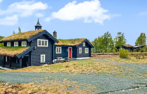 Holiday Home - Rauland , Norway - N35754 1