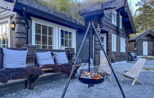 Holiday Home - Tinn , Norway - N35765 1