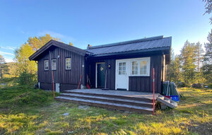 Holiday Home - Rauland , Norway - N35781 1
