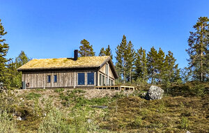 Holiday Home - Vinje/Øyfjell , Norway - N35798 1