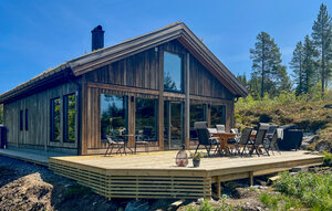 Holiday Home - Vinje/Øyfjell , Norway - N35798 1