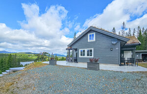 Holiday Home - Vinje/Øyfjell , Norway - N35799 1