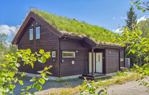 Holiday Home - Haukelifjell , Norway - N35801 1