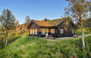 Holiday Home - Rauland , Norway - N35804 1