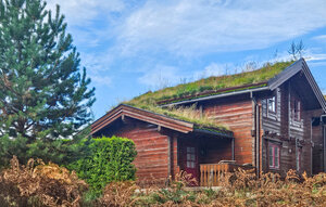 Holiday Home - Vrådal Panorama , Norway - N35807 1