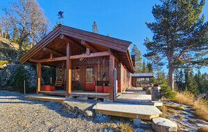 Holiday Home - Tinn, Skirvedalen , Norway - N35829 1