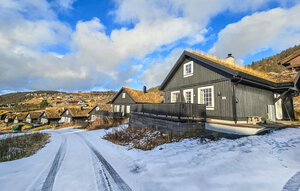 Holiday Home - Rauland , Norway - N35847 1