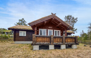 Holiday Home - Rauland , Norway - N35853 81