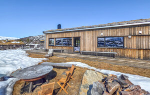 Holiday Home - Haukelifjell , Norway - N35859 1
