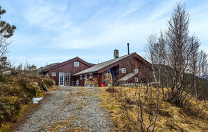Holiday Home - Haukelifjell/Edland , Norway - N35862 1