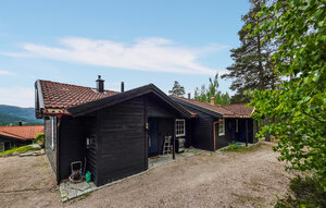 Holiday Home - Vrådal , Norway - N35865 1