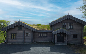 Holiday Home - Rauland, Vierli , Norway - N35867 1