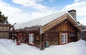 Holiday Home - Røros , Norway - N38214 1