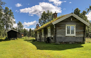 Holiday Home - Røros , Norway - N38272 1