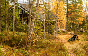 Holiday Home - Grong , Norway - N38277 1
