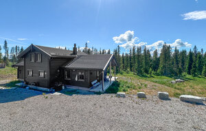Holiday Home - Sjusjøen , Norway - NOH003 1