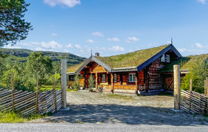 Feriehus - Hovden i Setesdal , Norge - NVI050