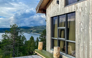 Holiday Home - Bortelid, Åseral , Norway - NVI025 1