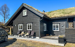Holiday Home - Ljosland, Åseral , Norway - NVI039 1