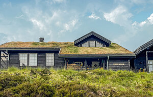 Holiday Home - Sinnes/Sirdal , Norway - NVI047 1