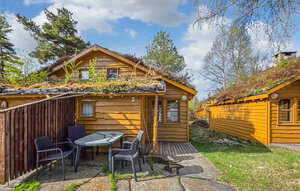 Holiday Home - Sirdal, Sageneset Feriesenter , Norway - NVI134 1