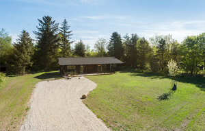 Holiday Home - Jegum , Denmark - P42748 1
