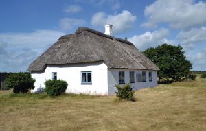 Holiday Home - Nymindegab , Denmark - P52664 1